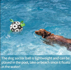 Interactive Dog Football - Dog Toys