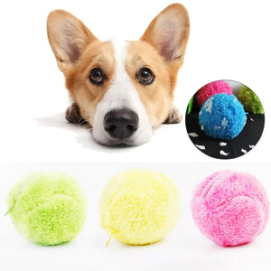 Pet Toys